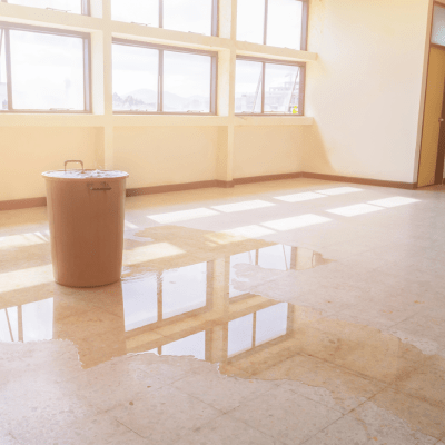 Water Damage Restoration