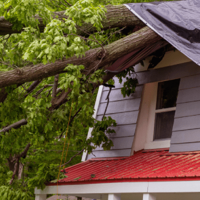 Storm Damage